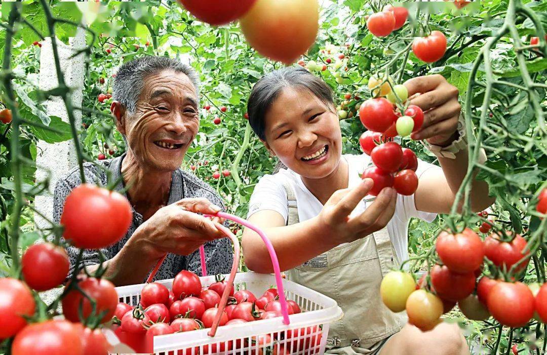 67尽锐出战巩固脱贫成果 接续奋斗交出过硬答卷_攻坚_工作_产业