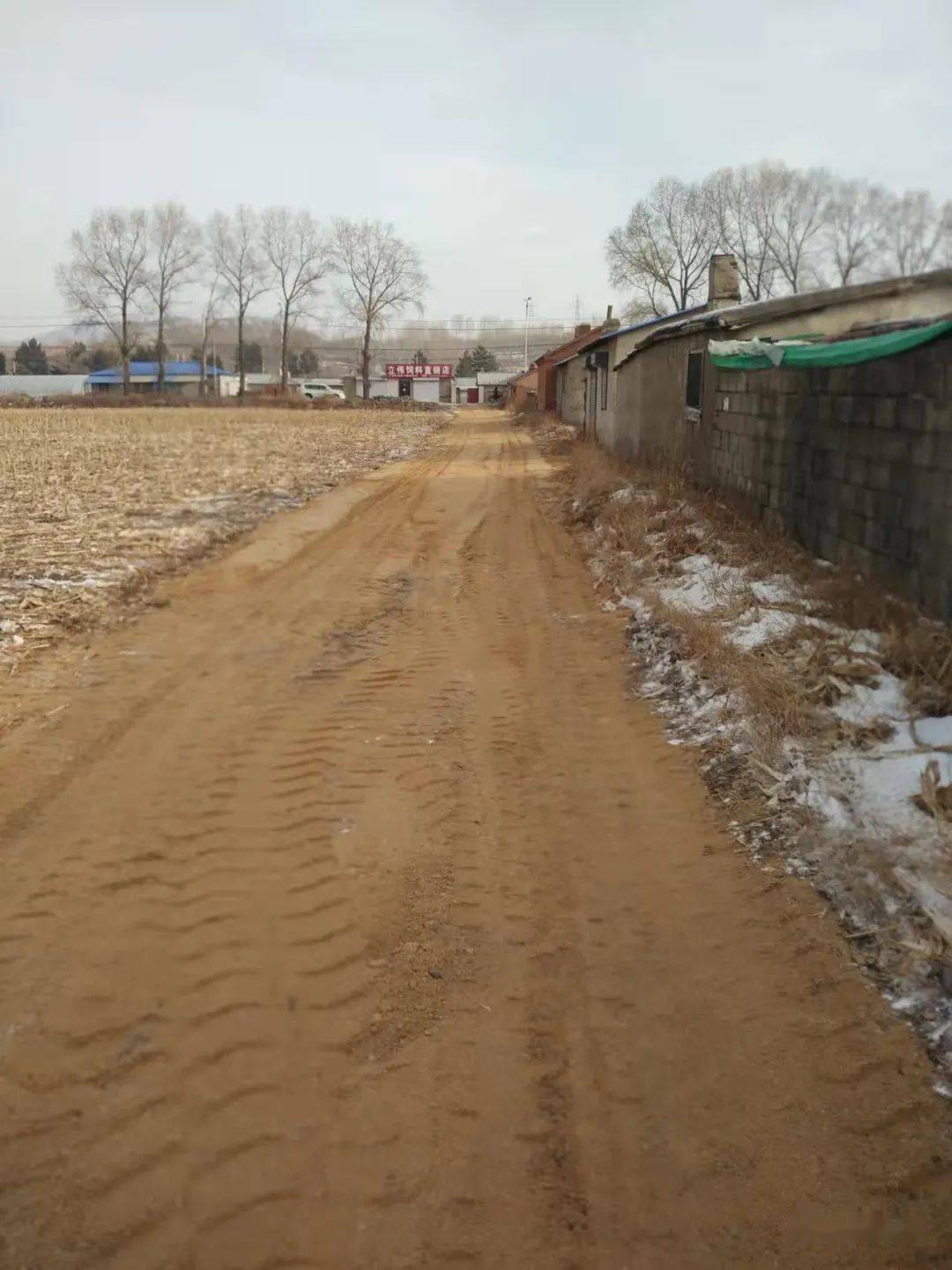 为民修路暖民心_向阳村_村民_教育