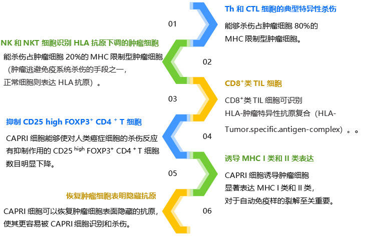 d713cb2b2fef461d8041ac06e566b30f.jpeg