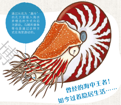 db0a73828cf84382b9ddb23cf9c41c8a.png