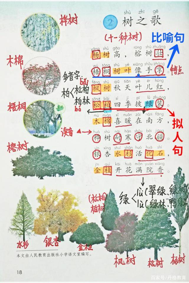 识字2《树之歌》(语文二年级上册)跟随老师笔记一起学习_树木_银杏树