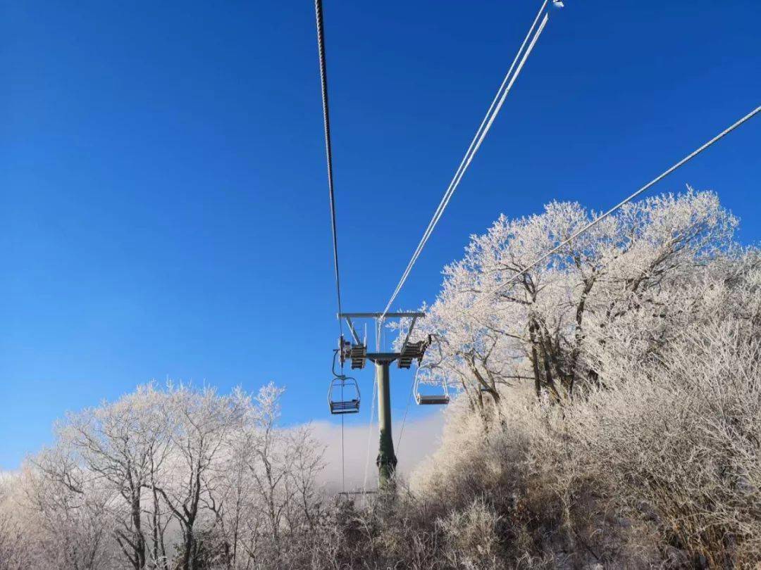 伏牛山滑雪场：不仅仅是滑雪，还有刷爆朋友圈的雪景-大河新闻