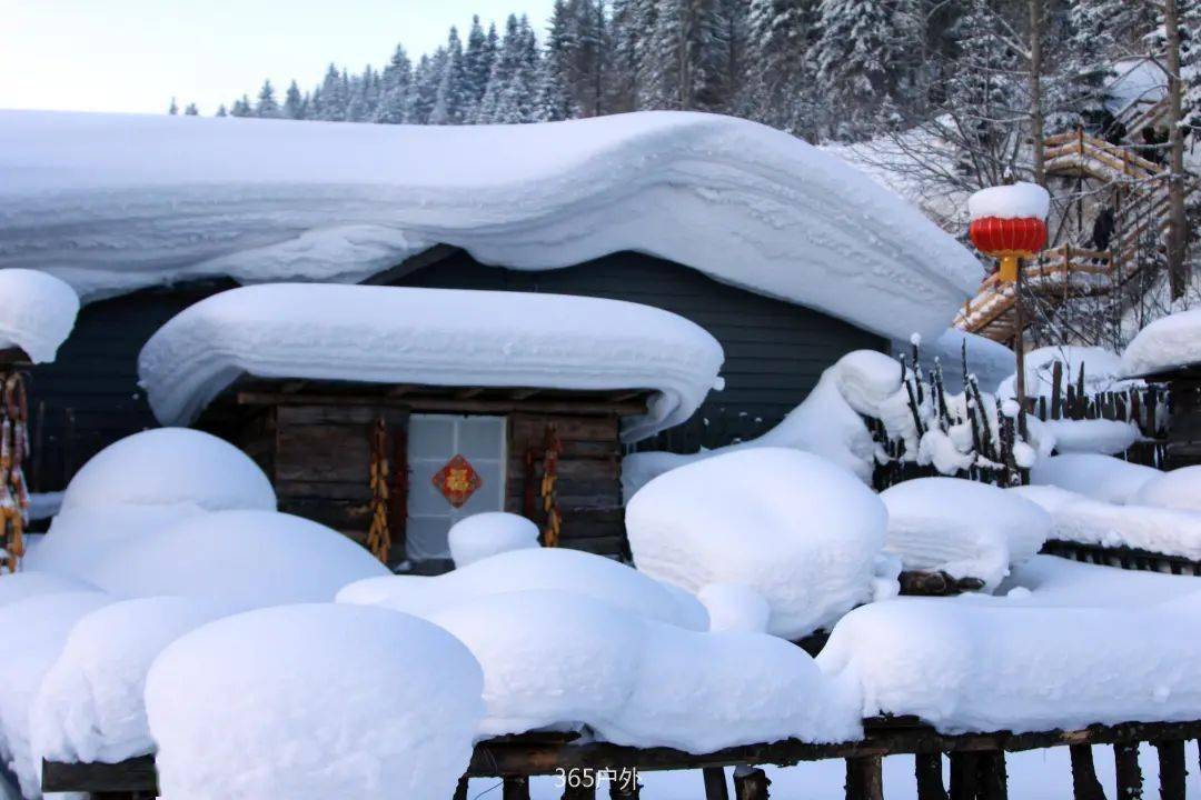 雾凇岛 ,镜泊湖, 雪乡, 雪谷,一个都不能少