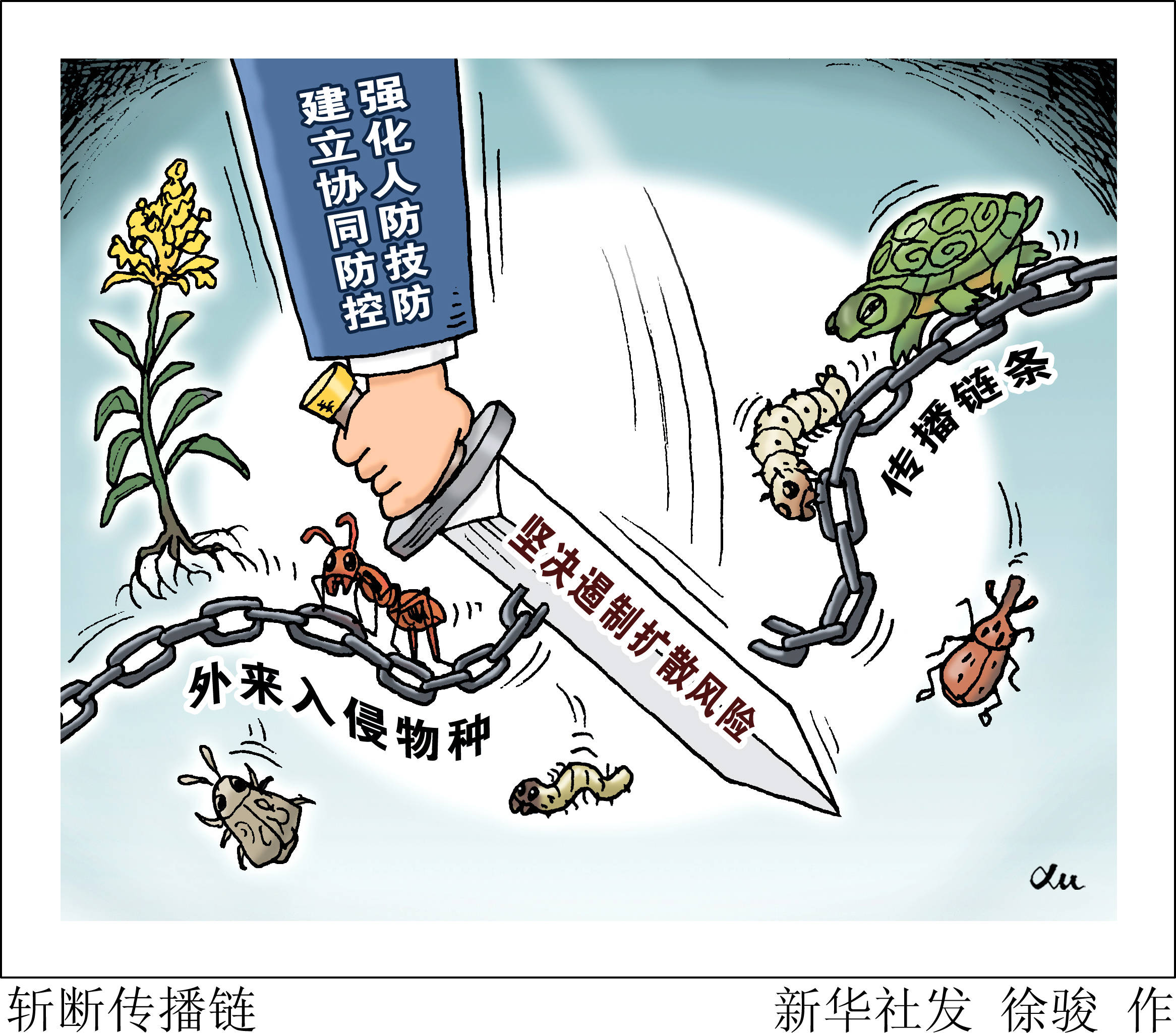 (图表·漫画)〔新华调查〕斩断传播链