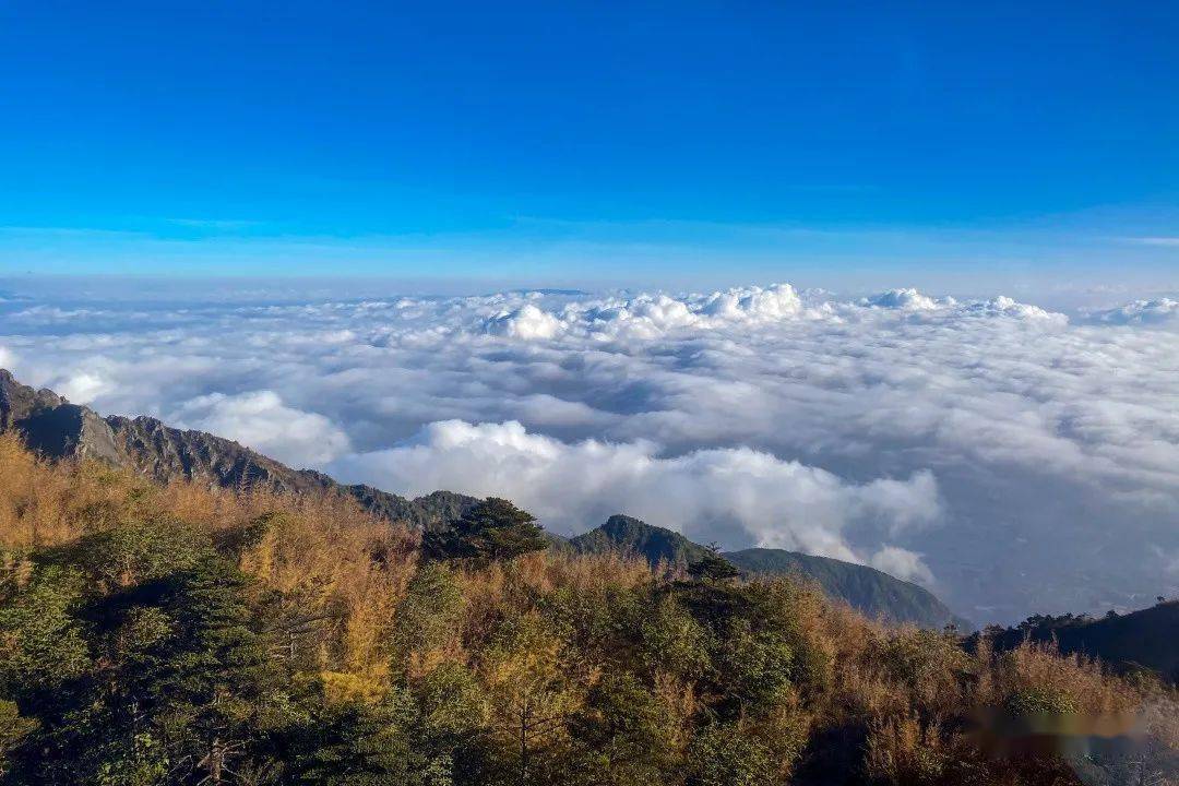 视频图苍山云海这个冬天你一定要来看一次