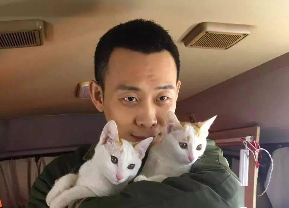 影帝张译救了4000只猫,给猫安葬,背后故事让人泪目_养猫_生活_熊猫