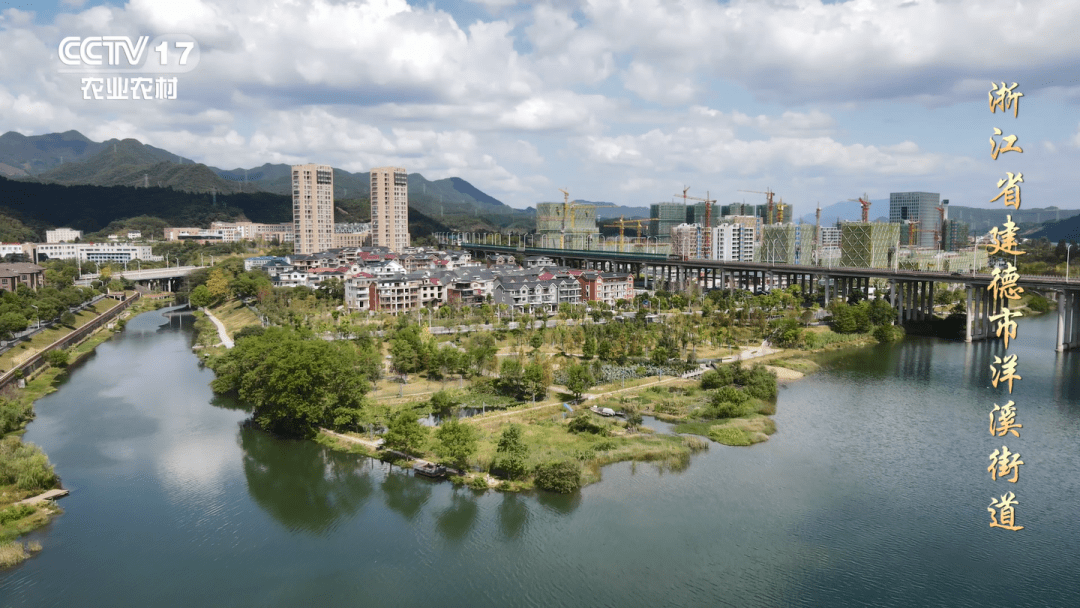 建德市洋溪街道城东村图片