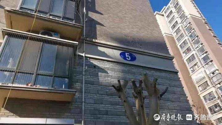 ��ľ����ͷ����֦���ɶѣ�����һС��������ҵ������