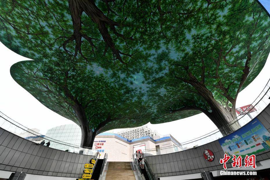 6月3日,在福州中防万宝城商业综合体内,彩绘"大榕树"成为商圈的一处