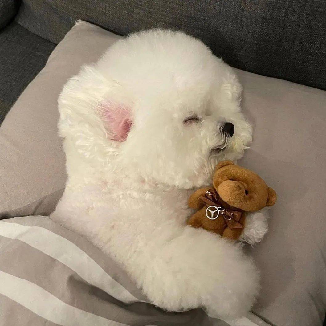 个性头像壁纸先下手为强