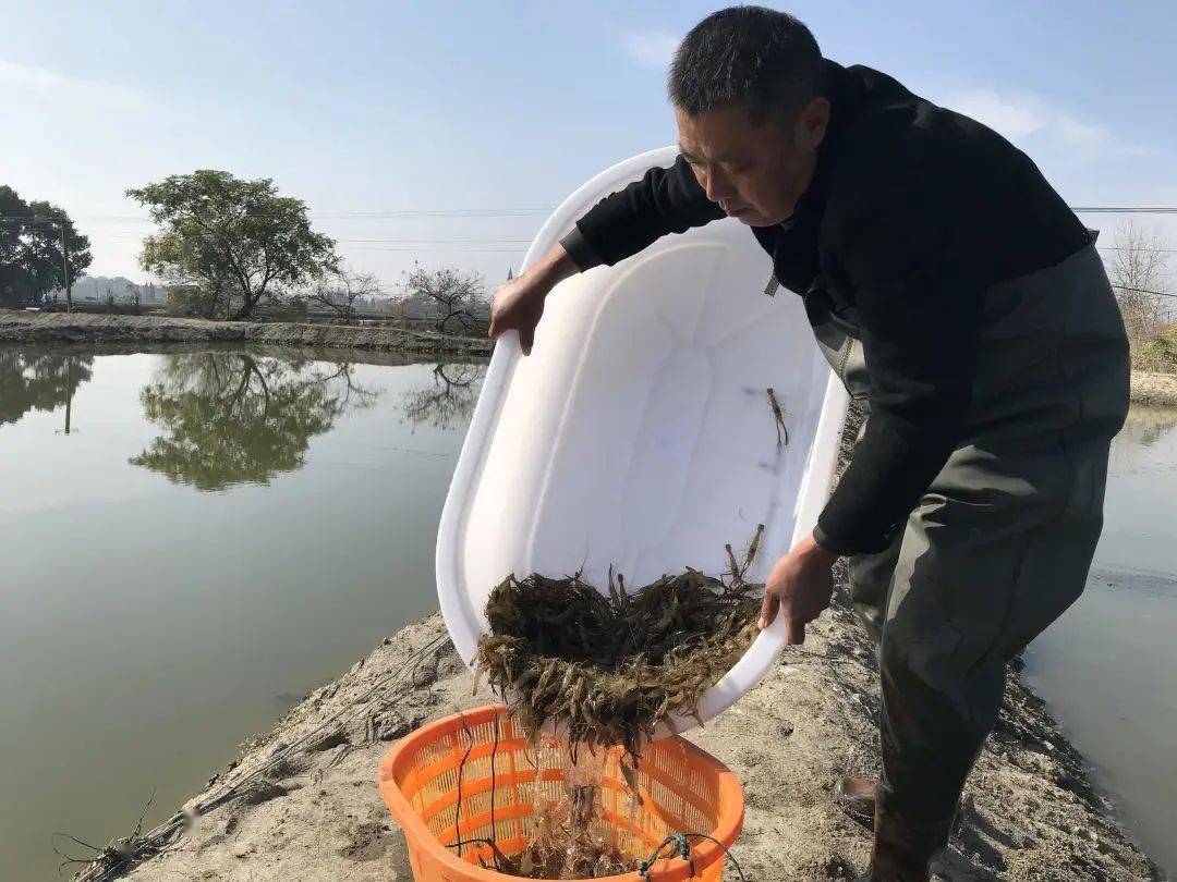 养殖户,却说,利润很高?这是真的吗?