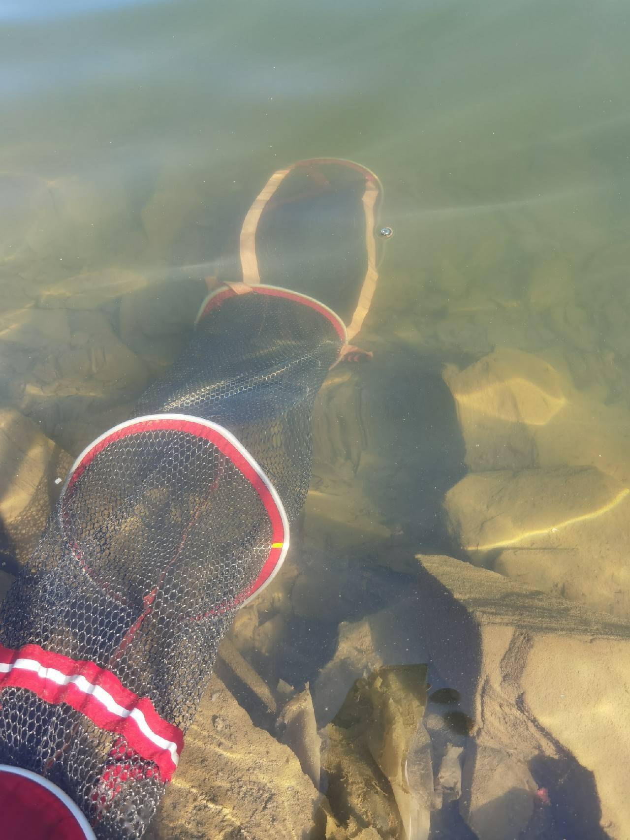 官庄水库野钓爆护之旅看看大师如何用户实践来证明