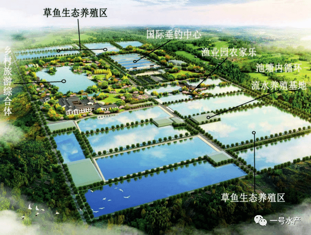 池塘底排污技术,应用于草鱼精养,效益非常好!_养殖_试验_水体