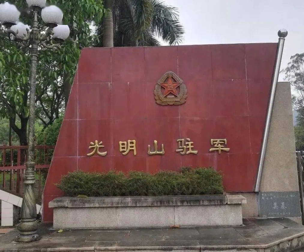 光明山下的情事_女朋友_桉树_班长