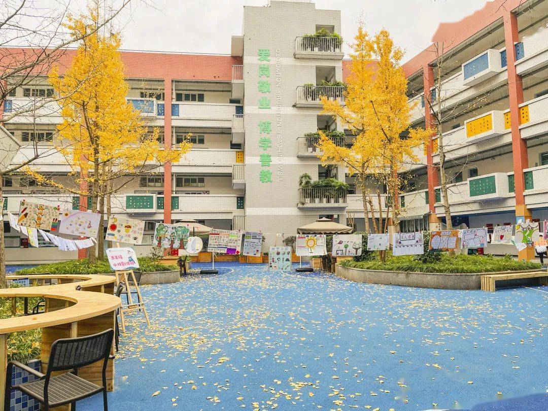 我见过最美的银杏,在双流校园._小学_幼儿园_实验校