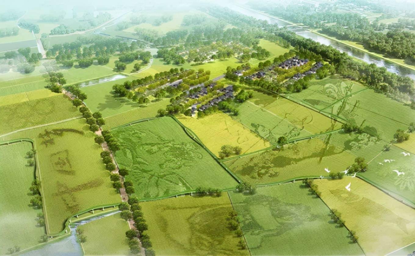 为什么农业要做田园综合体规划