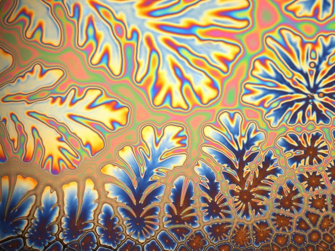 bunton 等人的文章"the effect of a crosslinking chemical reaction