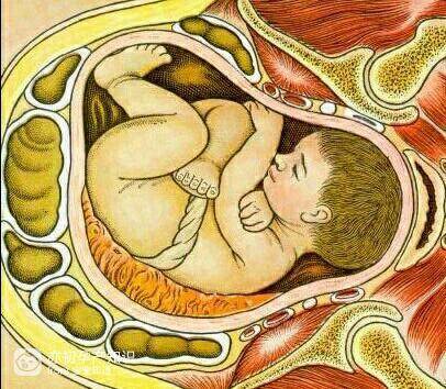 胎儿9个月在腹中图片图片