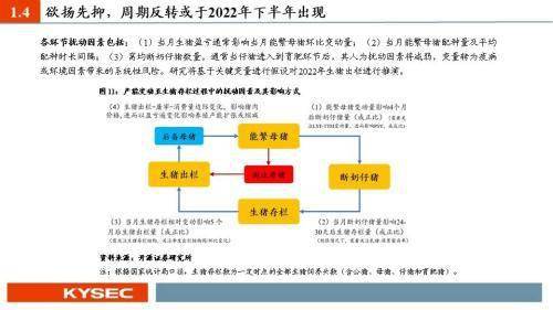 策略|农林牧渔2022年度投资策略：猪周期反转在即，种植链景气延续