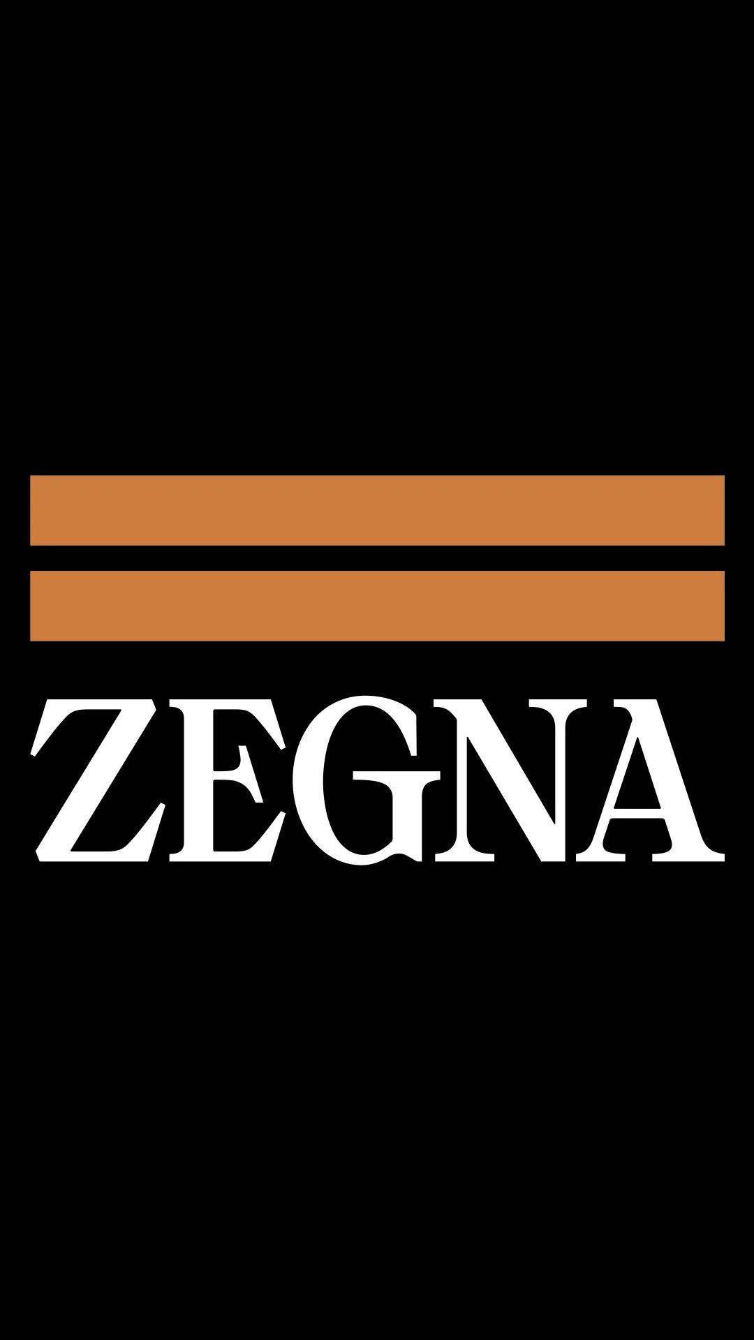 在logo的更替中读取zegna的新愿景