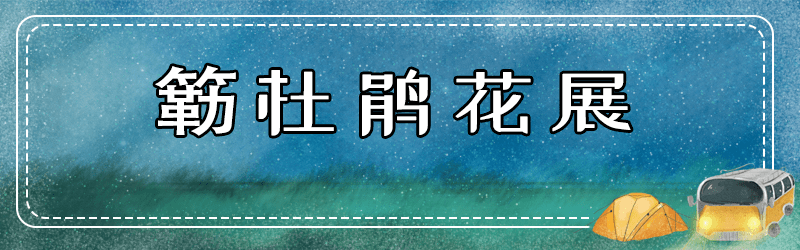 出口|变着花样玩！深圳12月活动汇总来啦！花展、美食节、音乐会…免费的不少