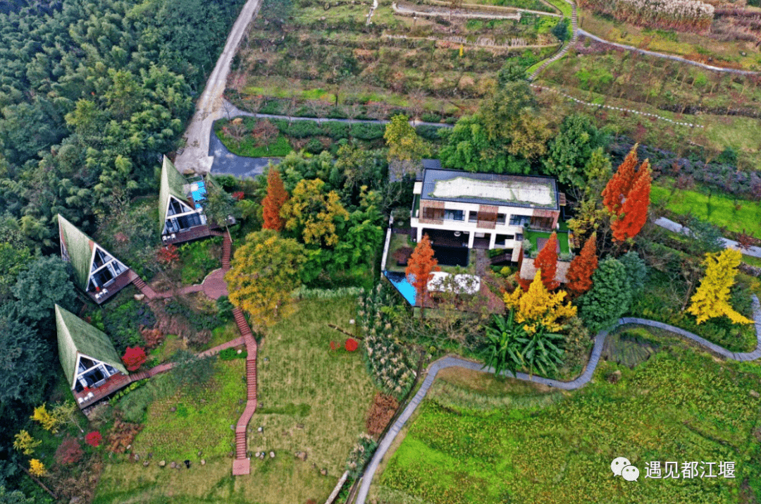 社区|都江堰这个地方年度压轴绝美景色上线，尝完美食，更加不愿走了！