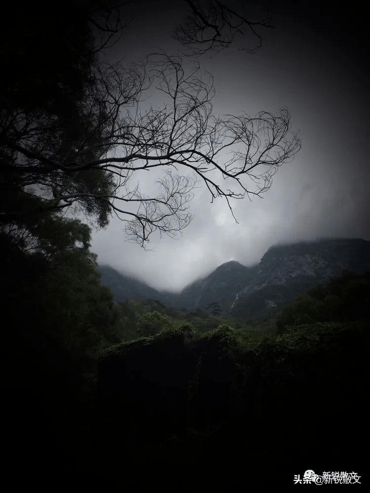 他经历了人生的滂沱大雨却偷偷更换了角色变成了顶天立地的伞