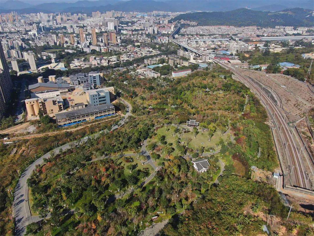 初冬时节,寒流逼人,位于龙岩城东边的龙岩洞公园,层林尽染,公园里的