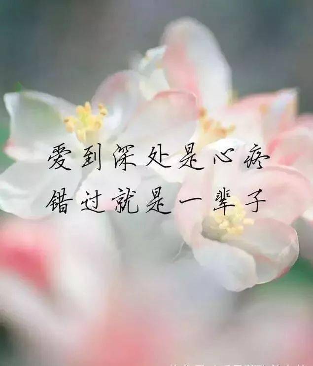 最近微信很火的个性签名短句，点击率超高！
