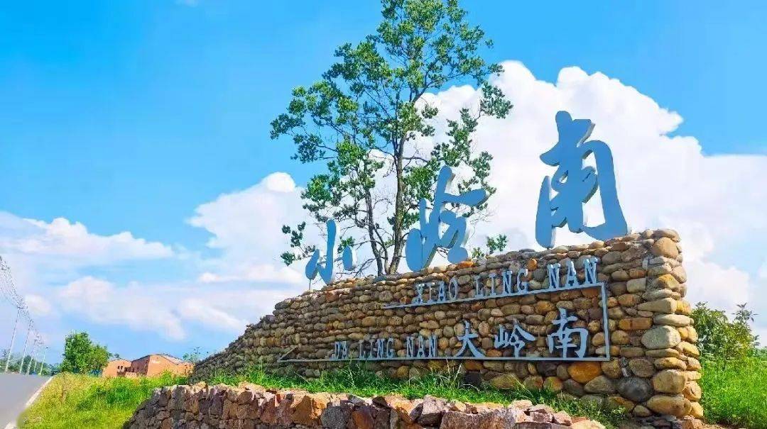 "在希望的田野上"系列报道106:乡村追梦人 | 侯克旺:做马岗的"守望者"