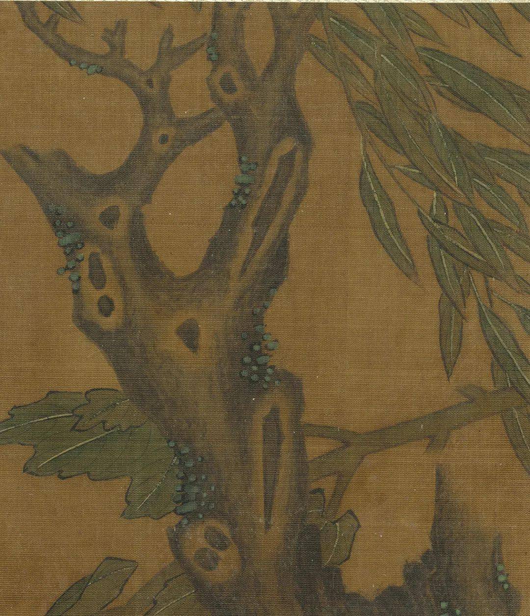 赏画王渊写生花卉册之芙蓉