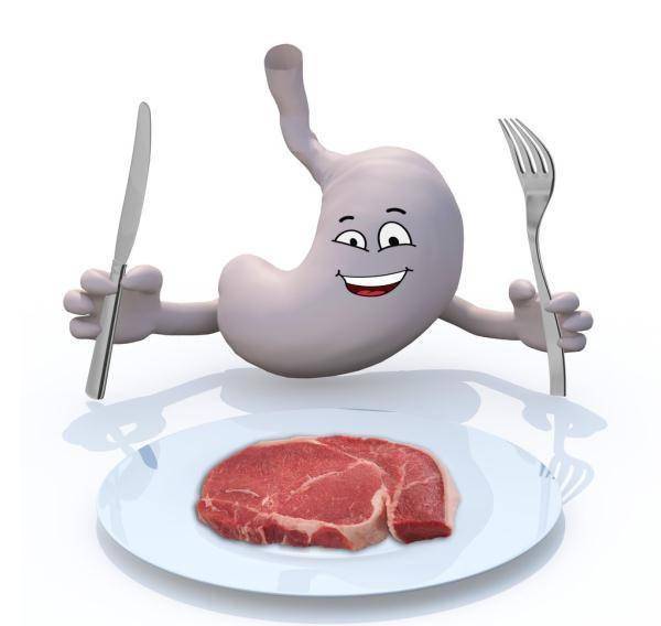 氨基酸|癌症患者吃“燕窝”会有好处么？药师告诉你“燕窝”的真相