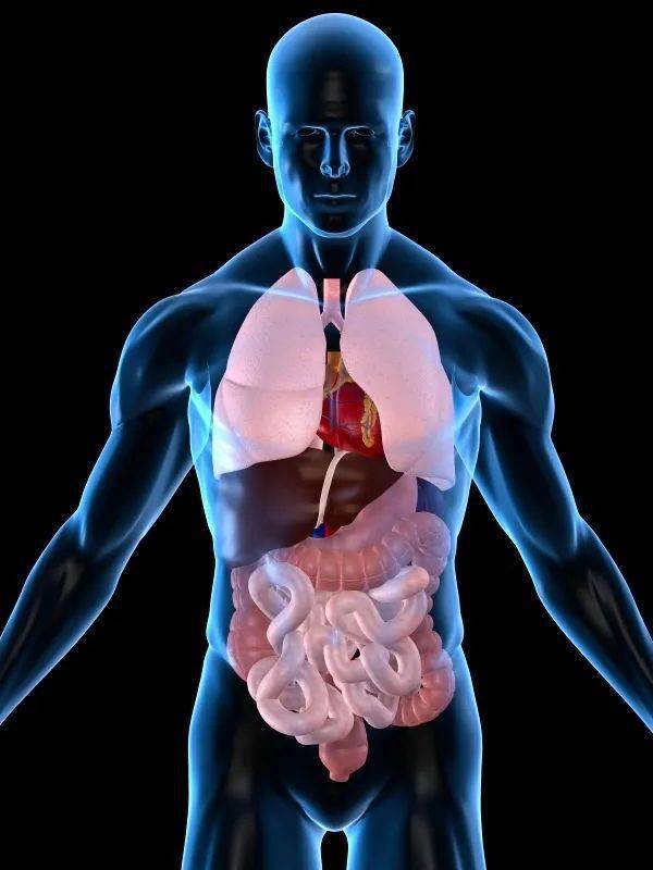 通知内脏与疼痛临床诊疗认证课程