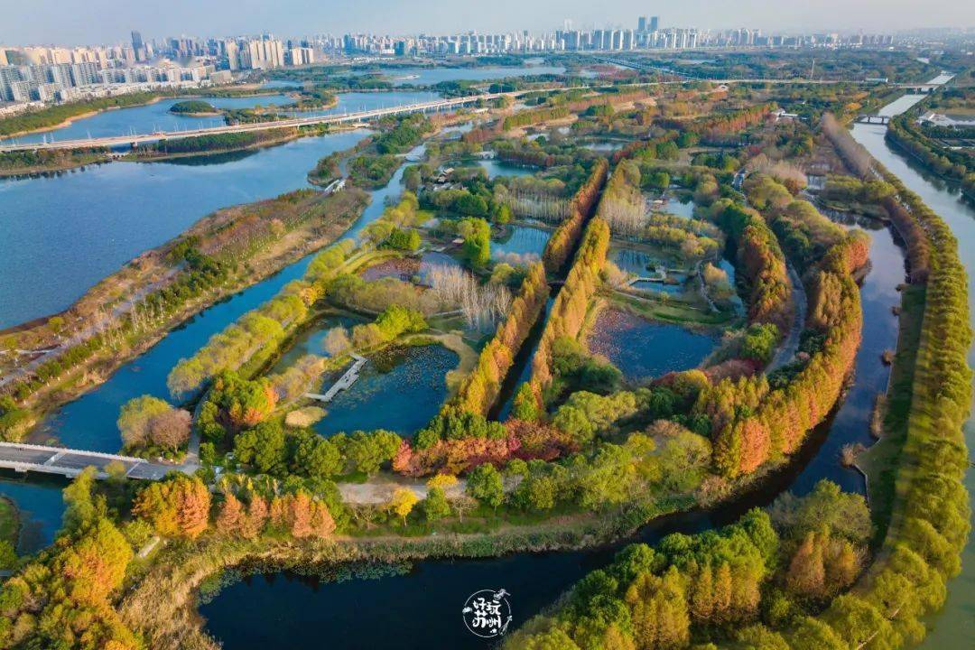 苏州这片小森林 好 红 我好爱啊 公园 湿地 虎丘