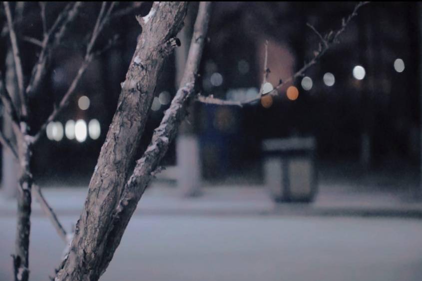 邂逅|【雪落象牙塔】雪花邂逅龙财 美好如约而至