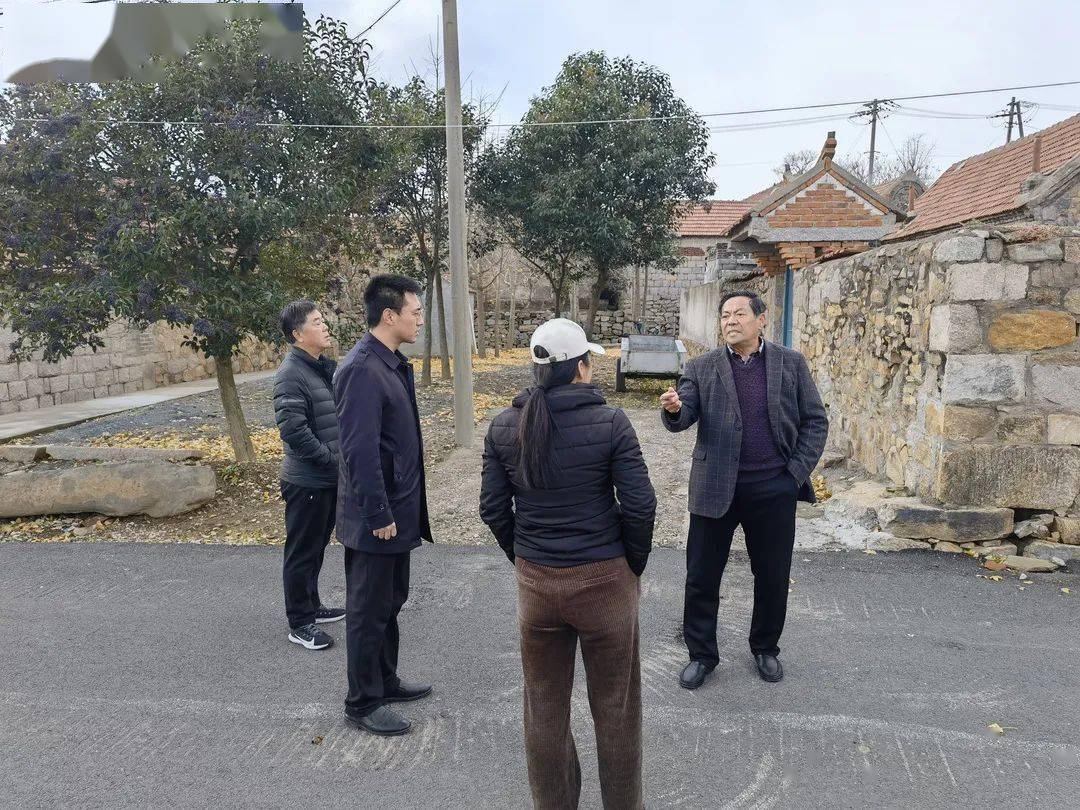 宋村镇党委副书记(挂职) 邵帅_工作_宋村镇
