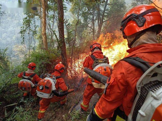 广东揭阳普宁市大南山街道田坪村附近大南山山系发生森林火灾_火场