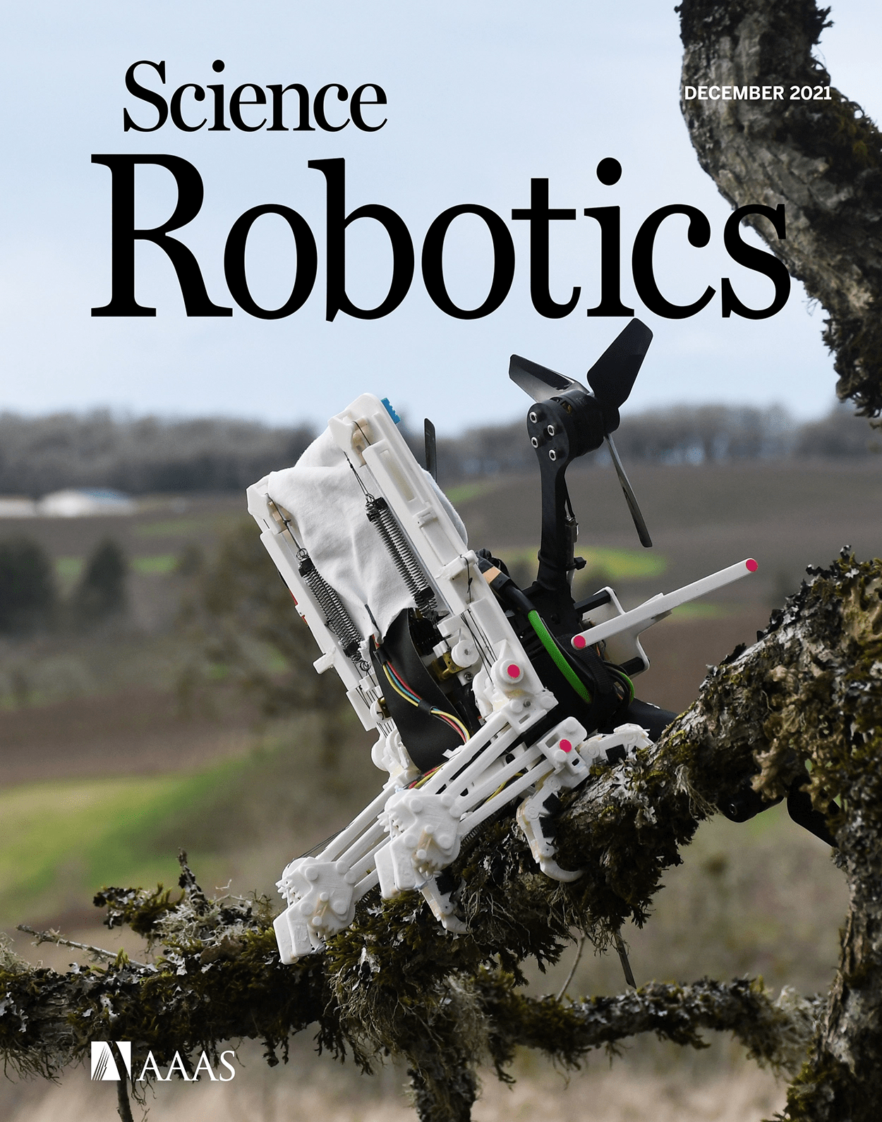 脚趾|给无人机加爪子登《科学》子刊封面，斯坦福研发仿生鸟机器人