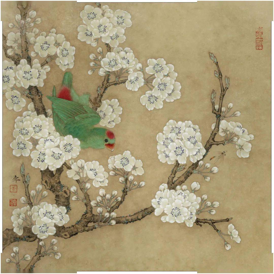 李晓明工笔画作62图太美了看完你心绪会沉静下来