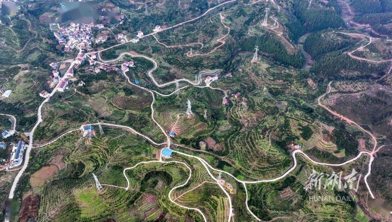 蜿蜒"产业路"铺就新生活_乡村_滕树明_岩门镇