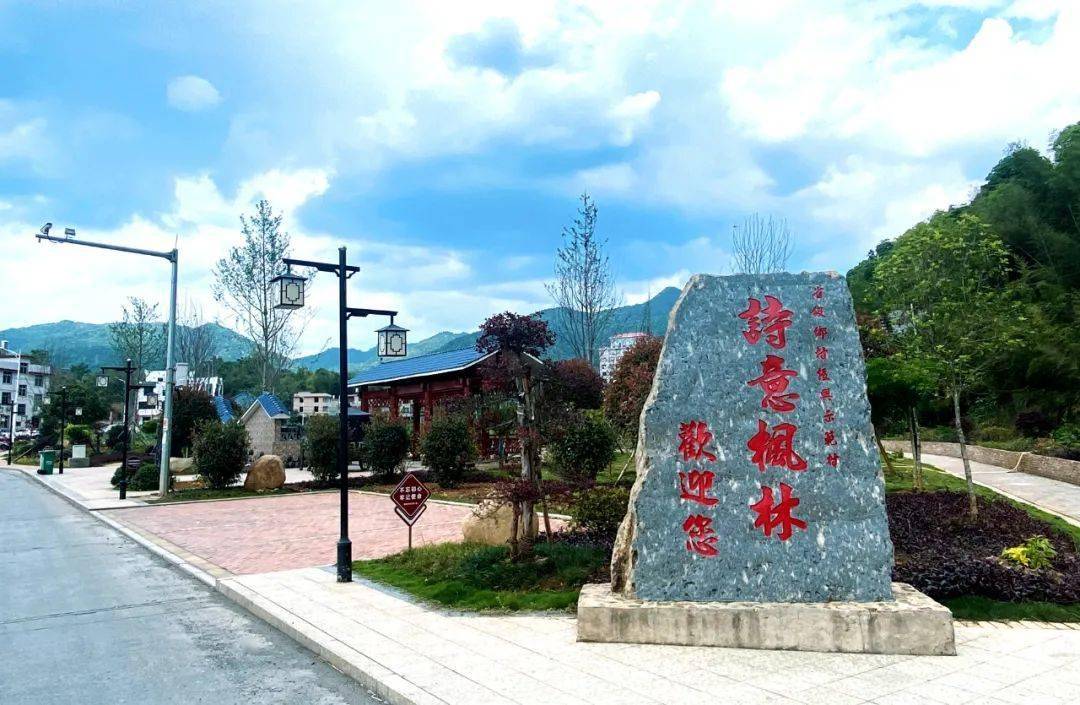 永定枫林村:绿色发展 蝴蝶翩跹_生态_龙潭镇_乡村