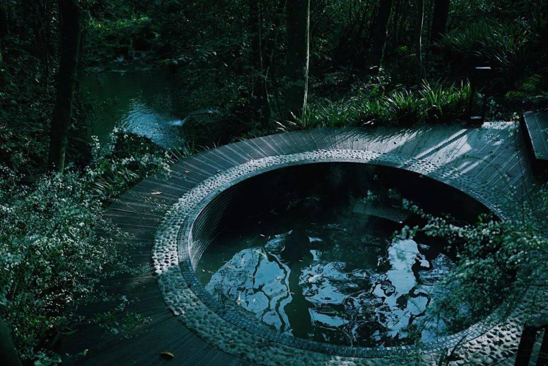 森林|都江堰泡汤指南② | 青城山温泉攻略来袭，星空、野奢、森系、养生……一网打尽！