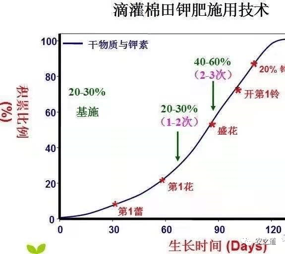 棉花需肥氮磷鉀規律及施肥規律