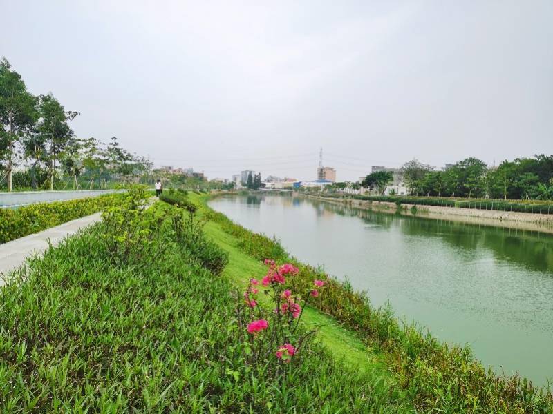 建设|东莞中堂北海仔河碧道基本建成，为群众打造休闲娱乐好去处