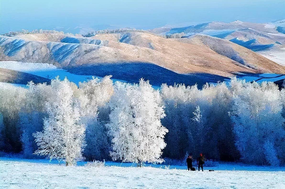 新疆霧凇這才是完美冬天的打開方式真正的冰雪王國