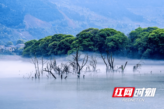 湖南省|双牌日月湖湿地上榜全省第二批省级重要湿地名录