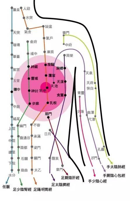 乳房九大经络位置图图片