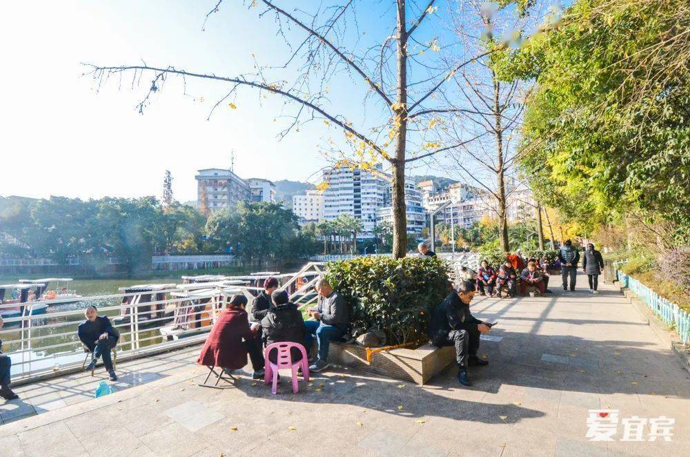 百分之九十的人都不知道,宜賓有個翠湖公園!_人民公園_人工湖_冬日