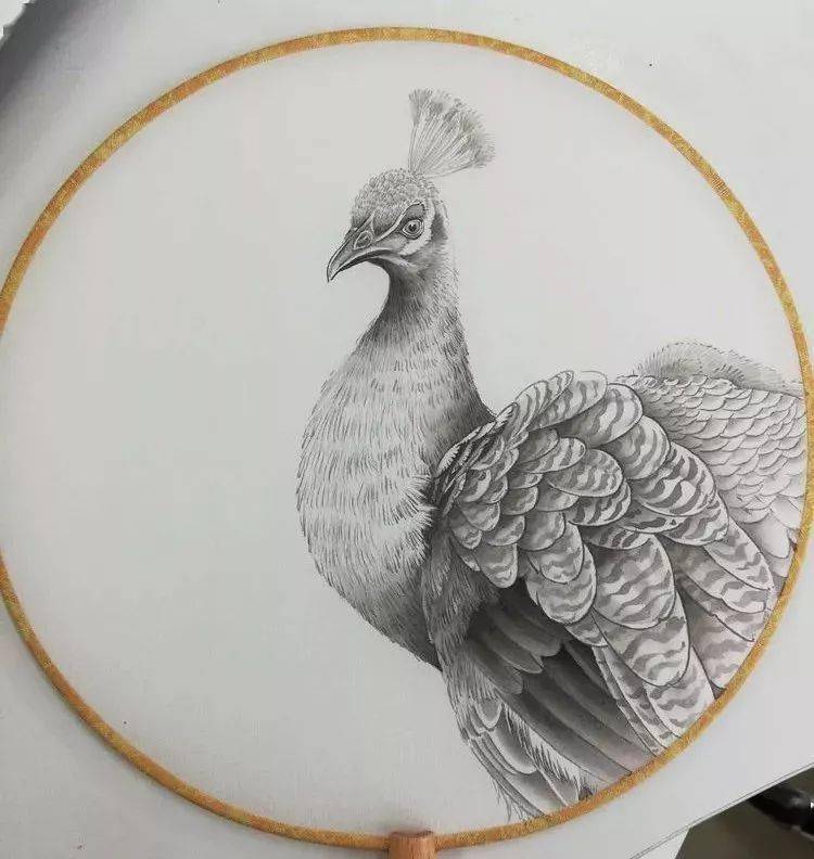 图文教程 | 工笔小团扇《绿孔雀》绘制步骤解析