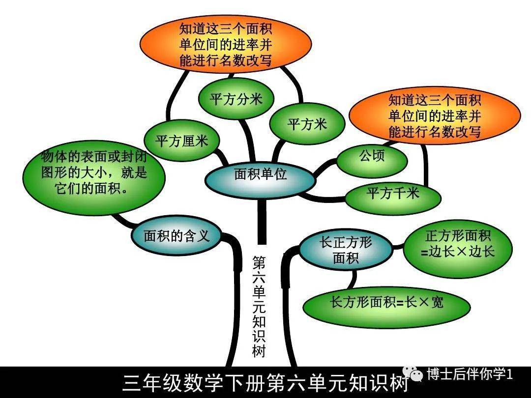 【博士后伴你学】三年级下册数学知识树